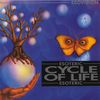 Cycle Of Life